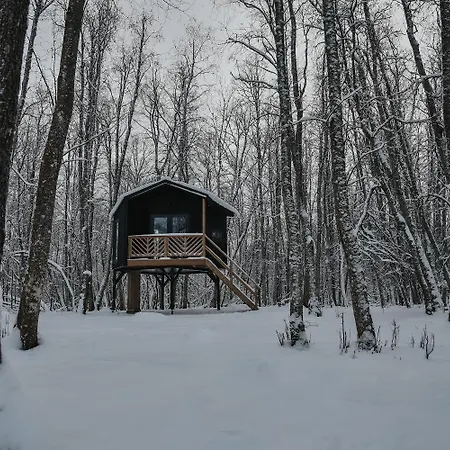 Hekso Treehouse Kirikukula (Parnu)