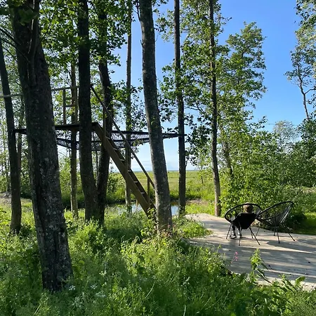 Semesterbostad Hekso Treehouse