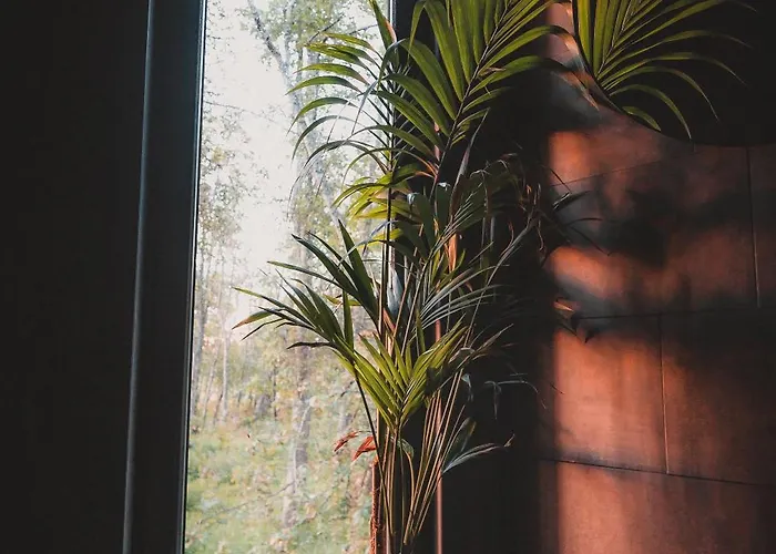 Hekso Treehouse Kirikukula (Parnu)