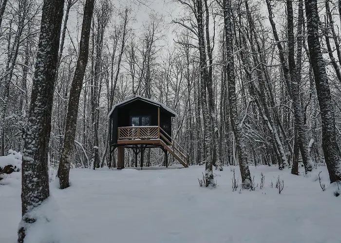 Hekso Treehouse Kirikukula (Parnu)