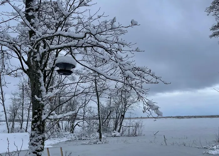 Hekso Treehouse * Kirikukula (Parnu)